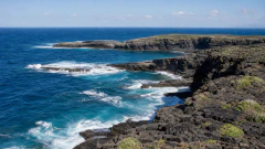 Waves on the Cliffs jigsaw puzzle
